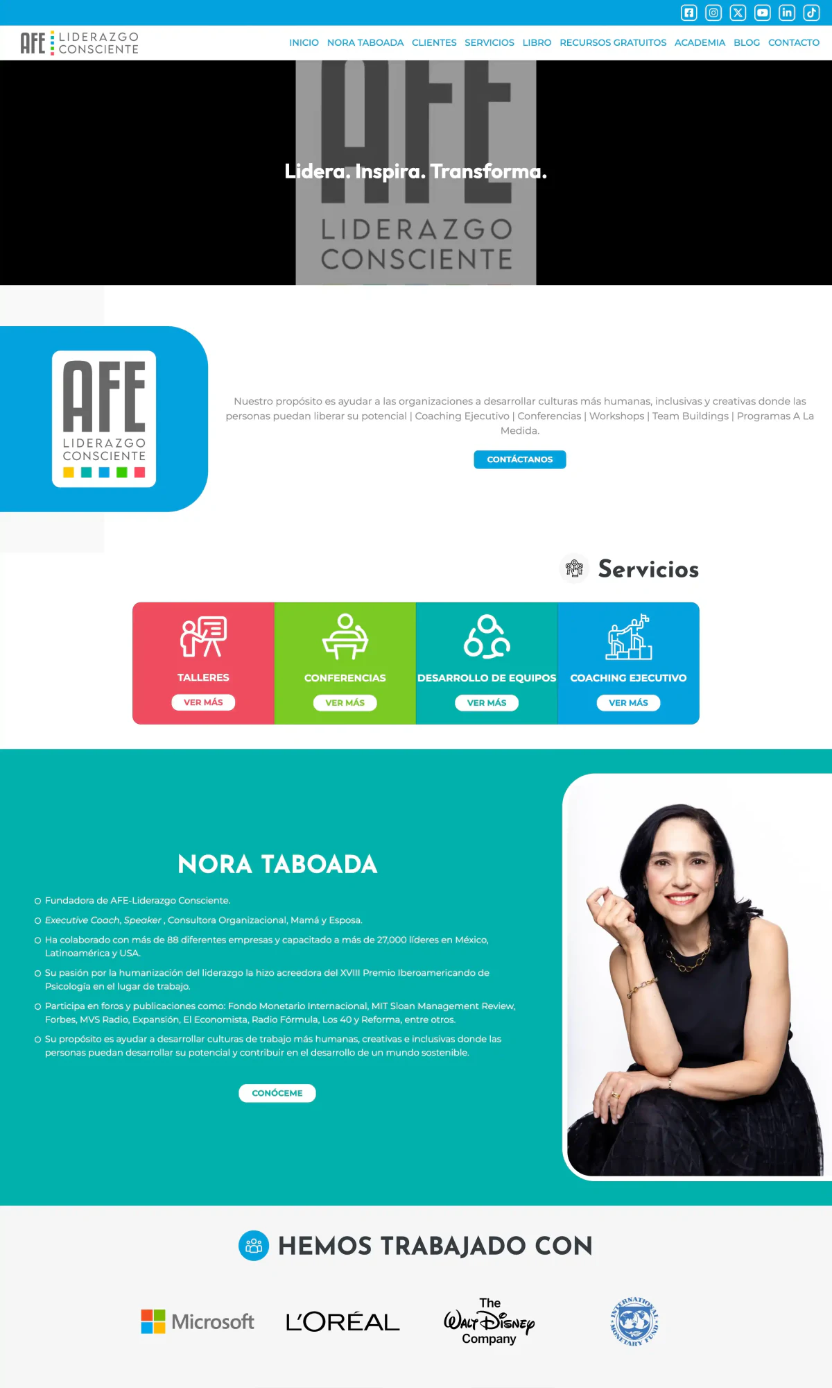 Website preview for AFE